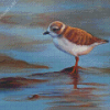 Piping Plover Art Diamond Painting