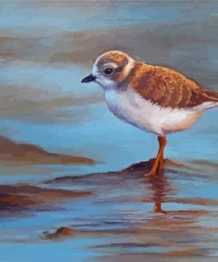 Piping Plover Art Diamond Painting