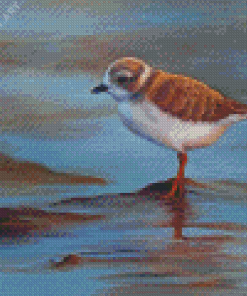 Piping Plover Art Diamond Painting