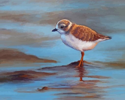 Piping Plover Art Diamond Painting