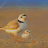 Piping Plover Birds Diamond Painting