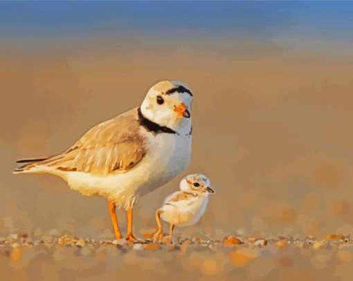 Piping Plover Birds Diamond Painting