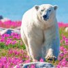 Polar Bear In Flowers Field Diamond Paintings