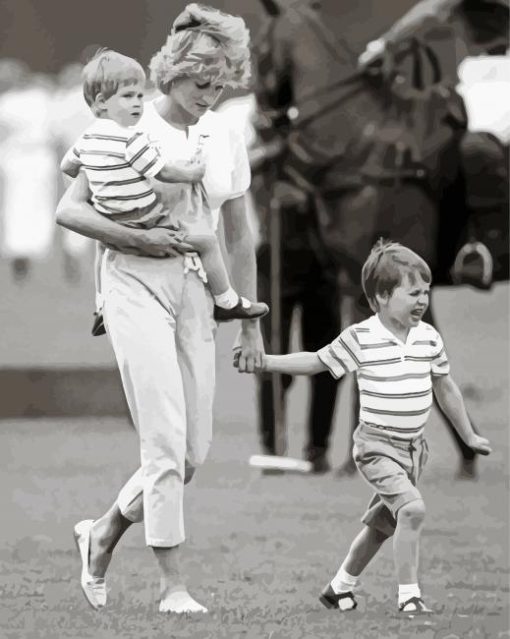 Princess Diana With Prince William And Harry Diamond Paintings