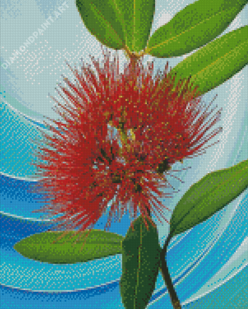 Red Pohutukawa Flower Art Diamond Painting