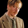 Remus Lupin Movie Character Diamond Painting