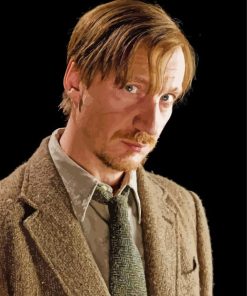 Remus Lupin Movie Character Diamond Painting