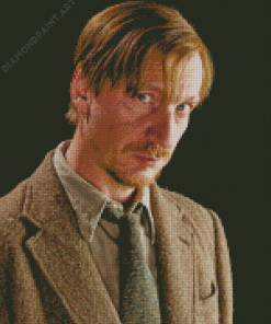 Remus Lupin Movie Character Diamond Painting