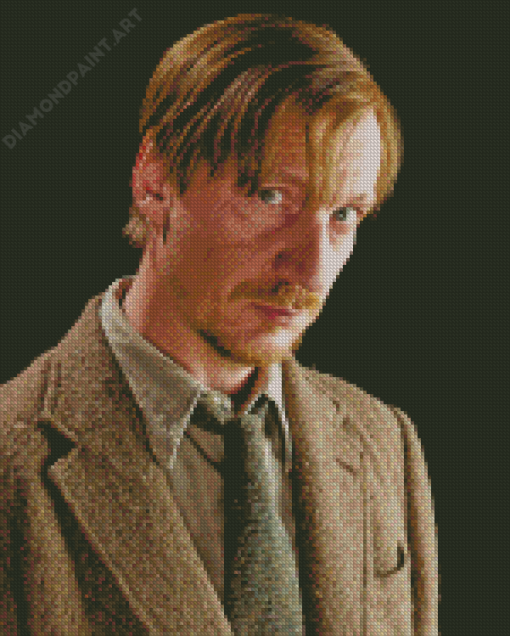 Remus Lupin Movie Character Diamond Painting