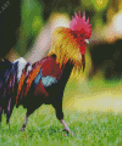 Rooster Diamond Painting