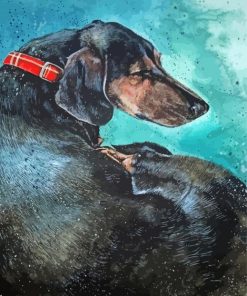 Sleeping Dachshund Dog Diamond Paintings