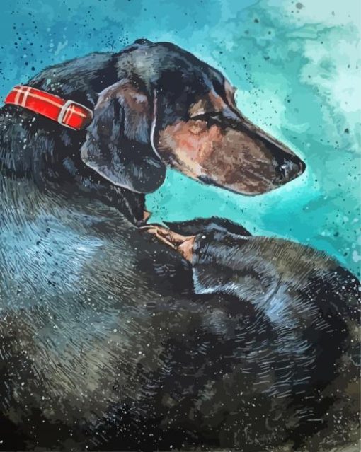 Sleeping Dachshund Dog Diamond Paintings