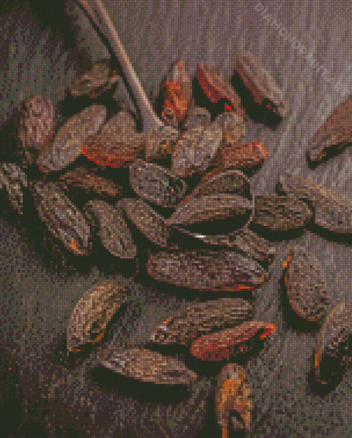 Tonka Beans On Spoon Diamond Painting