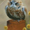 Western Screech Owl Art Diamond Paintings