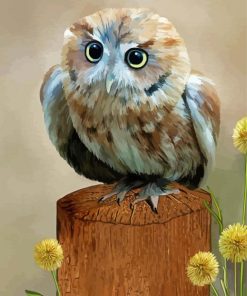 Western Screech Owl Art Diamond Paintings