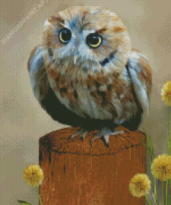 Western Screech Owl Art Diamond Paintings