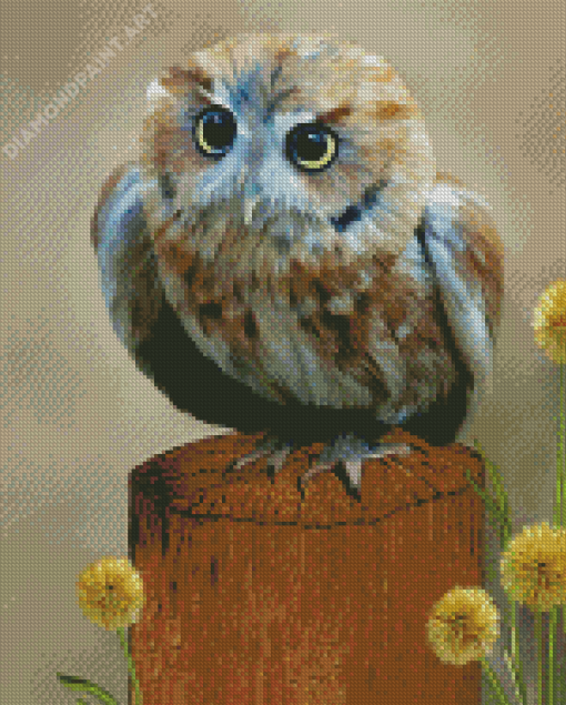 Western Screech Owl Art Diamond Paintings