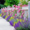 White Picket Fence With Flowers Diamond Painting