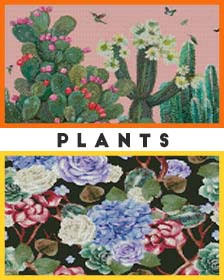 Plants