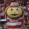 Brutus Buckeye Diamond Paintings