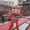 Cool Brutus Buckeye Diamond Paintings