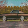 1972 Chevrolet Monte Carlo Diamond Painting