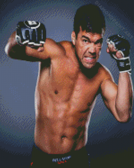 Lyoto Machida Diamond Painting