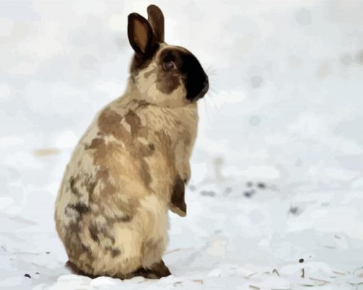 Rabbit In Snow Diamond Painting