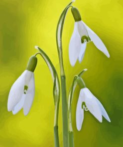 Snowdrops Diamond Painting