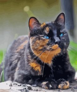 Tortoiseshell Cat Diamond Painting