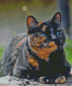 Tortoiseshell Cat Diamond Painting