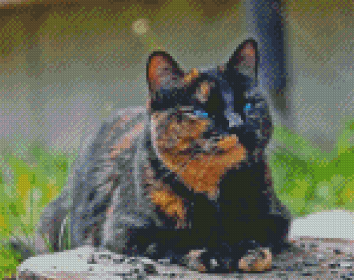 Tortoiseshell Cat Diamond Painting