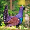 Western Capercaillie Bird Diamond Painting