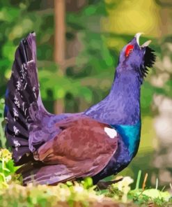 Western Capercaillie Bird Diamond Painting