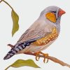 Aesthetic Zebra Finch Diamond Painting