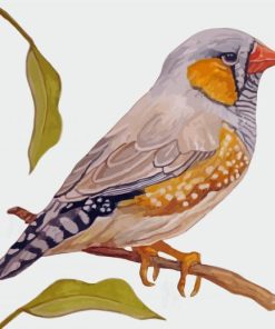 Aesthetic Zebra Finch Diamond Painting