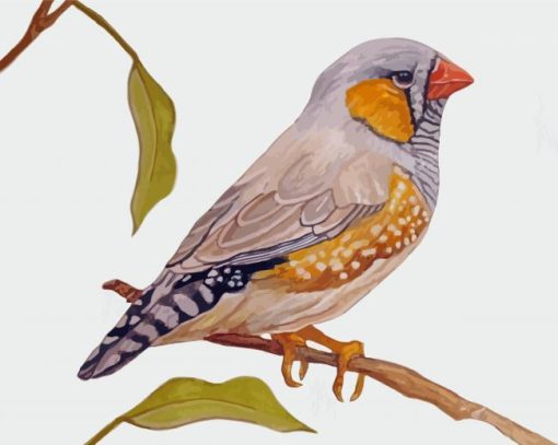 Aesthetic Zebra Finch Diamond Painting