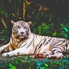 Albino Tiger Animal Diamond Painting