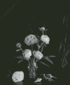 Black And White Peonies In Vase Diamond Painting