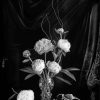 Black And White Peonies In Vase Diamond Painting