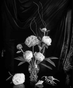 Black And White Peonies In Vase Diamond Painting