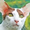 Oriental Shorthair Cat Diamond Painting