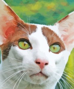 Oriental Shorthair Cat Diamond Painting