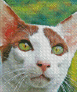 Oriental Shorthair Cat Diamond Painting