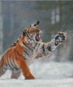 Tiger In The Snow Diamond Painting