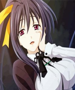 Akeno Himejima Diamond Painting