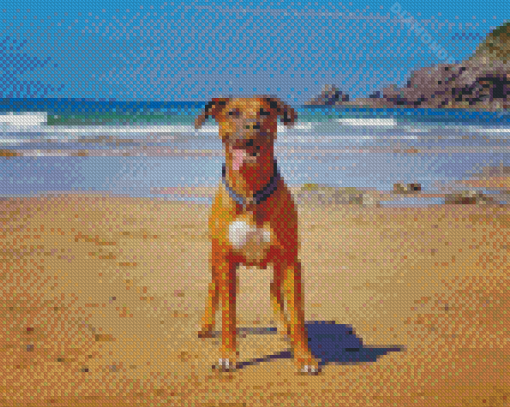 Boxer Dog Diamond Painting