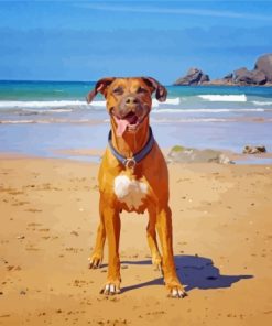 Boxer Dog Diamond Painting