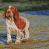 Bracco Italiano Puppy Diamond Painting