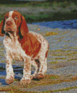 Bracco Italiano Puppy Diamond Painting